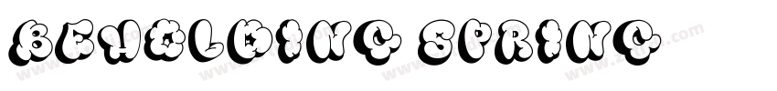 BEHOLDING SPRING字体转换